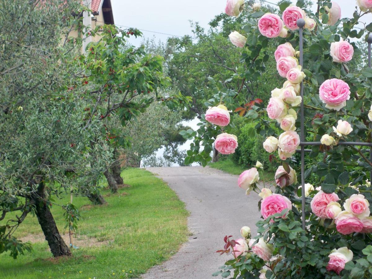 Holiday House Ida Marezige Bagian luar foto