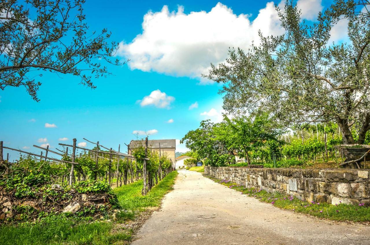 Holiday House Ida Marezige Bagian luar foto